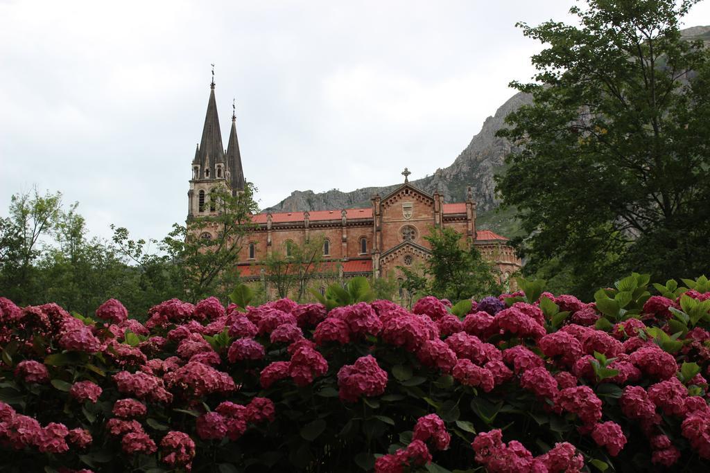 Alojamiento covadonga La Riera  Exterior foto